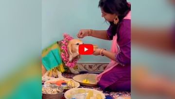 Photo of The family members celebrated the baby shower ceremony of the pregnant dog, such comments are coming on the video