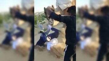 The person had to ride a heavy camel, as soon as the animal stood up, it fell on its face