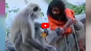 VIDEO: Disabled Baba gave water to the monkey, people said - Wow...Jai Shri Ram