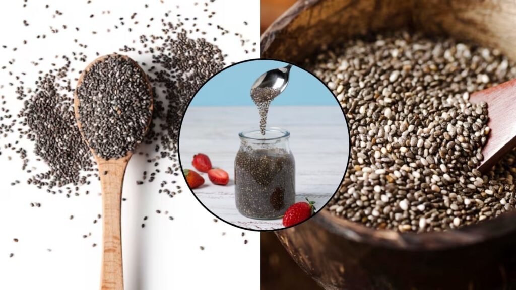 Chia vs. Sabja Seeds: Key Differences and Benefits