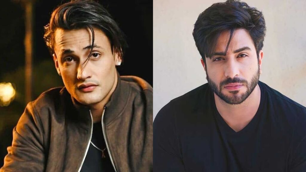 Khatron Ke Khiladi 14: Ali Goni Supports Asim Riaz, Calls Him a Good Person