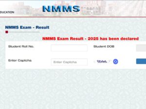 Rajasthan NMMS 2025 Results Announced: Check Your Scholarship Status at rajshaladarpan.rajasthan.gov.in